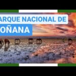 ¿Cuál es el parque nacional más reciente de España?