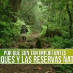 ¿Cuál es la importancia de los parques naturales?