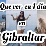 ¿Cuánto cuesta subir a ver los monos de Gibraltar?