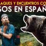 ¿Dónde ver animales salvajes en España?